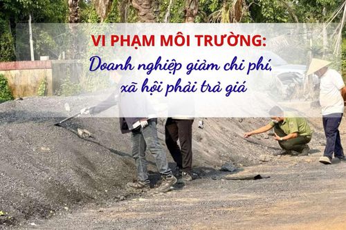 Vi phạm môi trường: Doanh nghiệp giảm chi phí, xã hội phải trả giá