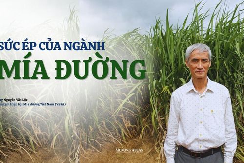 Sức ép của ngành mía đường