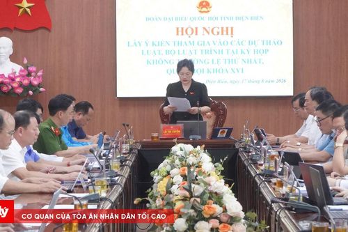 Điện Biên góp ý 3 dự án luật về tổ chức điều tra và tố tụng hình sự