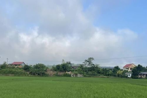 Thời tiết các khu vực trong tỉnh ngày 18/8 có nơi mưa to và dông, ngày trời nắng gián đoạn