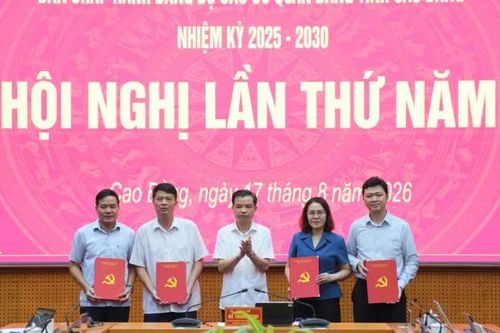 Kiện toàn Ban Chấp hành, Ban Thường vụ, Phó Bí thư Đảng ủy các cơ quan Đảng tỉnh nhiệm kỳ 2025 - 2030