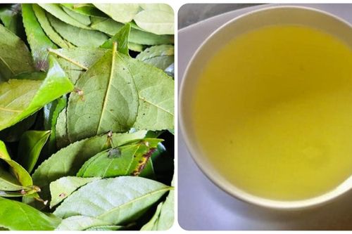 Điều gì xảy ra nếu bạn uống nước chè xanh mỗi ngày?