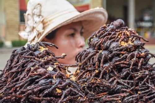 Vì sao người Campuchia ăn nhện đen như món ăn vặt?