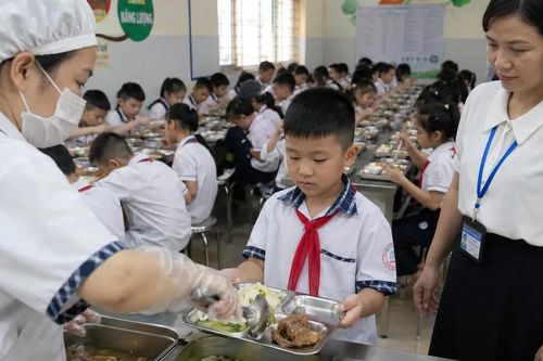 Hơn 600 đơn vị đăng ký cung ứng bữa ăn học đường tại Hà Nội