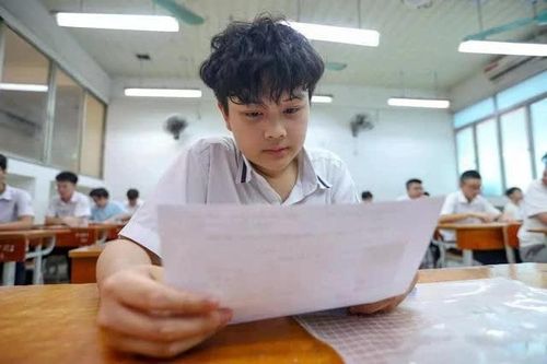 Hà Nội: Tra cứu nhập học vào lớp 10 như thế nào?