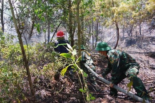 Khống chế vụ cháy rừng trên núi Cấm