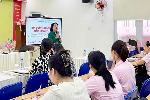 TPHCM: Hướng dẫn tiêu chí bố trí cán bộ quản lý trường học khi thực hiện sắp xếp cơ sở giáo dục