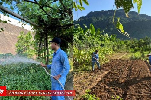Trao cơ hội việc làm cho người lầm lỗi