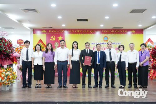 Bổ nhiệm Phó Chánh án tỉnh Hà Tĩnh