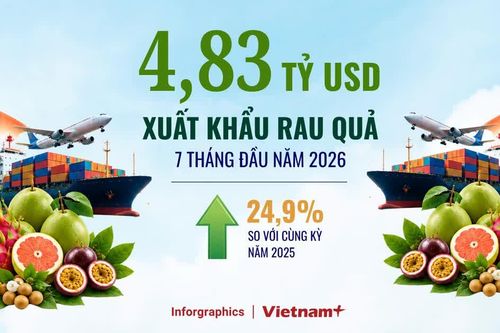 Xuất khẩu rau quả đạt 4,83 tỷ USD, nhiều thị trường tiếp tục được mở cửa