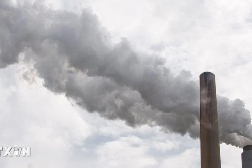 Giải mã vai trò quan trọng của thị trường carbon EU