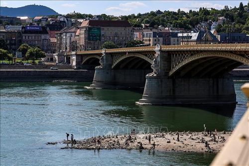 Mực nước sông Danube xuống thấp, đe dọa an ninh năng lượng Trung và Đông Âu