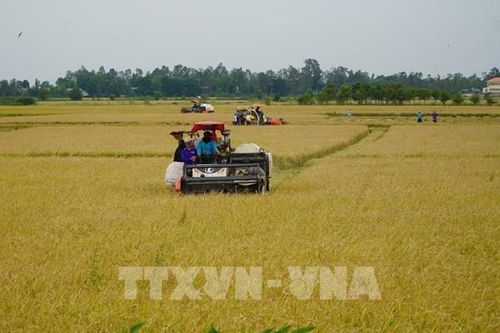 Nhịp sống vùng đầu nguồn Đồng Tháp trước mùa nước về