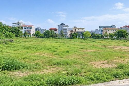 Khẩn trương rà soát toàn diện Luật Đất đai 2024 và văn bản liên quan