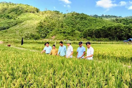 Nỗ lực giảm nghèo bền vững