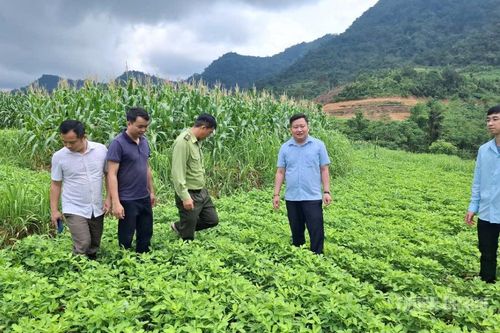 Thượng Nông đánh thức tiềm năng vùng cao