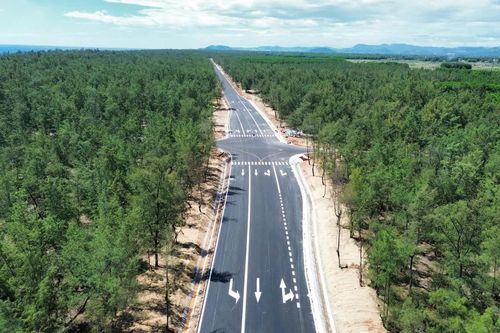 Quảng Ngãi: Gần 6km đường ven biển sắp cán đích vượt tiến độ