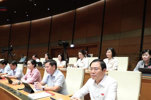 Dự thảo Luật Phổ biến, giáo dục pháp luật (sửa đổi) Nên quy định 'cứng' việc thành lập Hội đồng phổ biến, giáo dục pháp luật ở cấp xã?