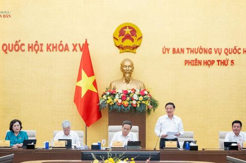 Ủy ban Thường vụ Quốc hội cho ý kiến về dự án Bộ luật Hình sự (sửa đổi)