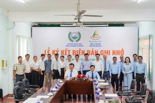 Phân bón Miền Nam và WASI hợp tác phát triển nông nghiệp bền vững tại Tây Nguyên