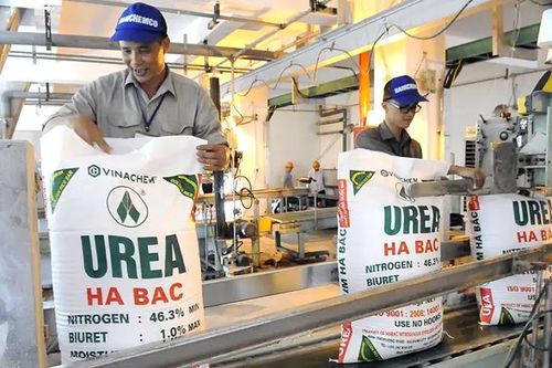 Đạm Hà Bắc cảnh báo nguy cơ nhầm lẫn từ tên gọi doanh nghiệp