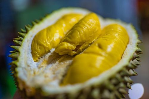 Thái Lan gặp khó, Campuchia đua xuất khẩu sầu riêng sang Trung Quốc