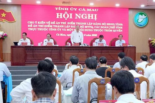 Cà Mau quy hoạch cán bộ, tạo môi trường để rèn luyện