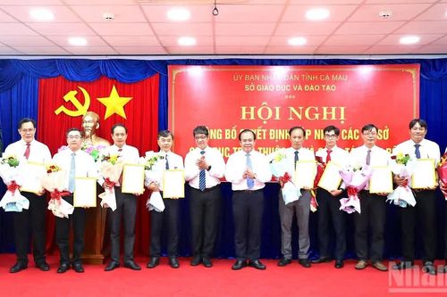 Cà Mau sáp nhập 20 đơn vị trường học, tinh gọn bộ máy giáo dục