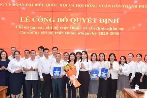 TPHCM thí điểm thành lập 2 đảng bộ cơ sở trực thuộc Thành ủy