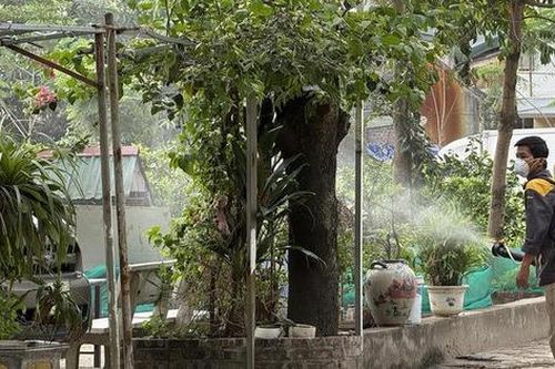 Hà Nội tăng cường công tác phòng, chống dịch bệnh sốt xuất huyết