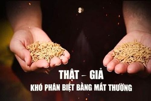 Thông báo thay đổi lịch phát sóng chương trình 'Hồ sơ Công tố - Kiểm sát'
