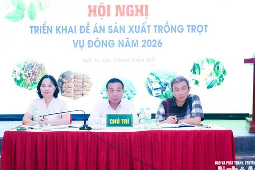 Nghệ An: Lấy thị trường làm trung tâm trong sản xuất vụ Đông 2026