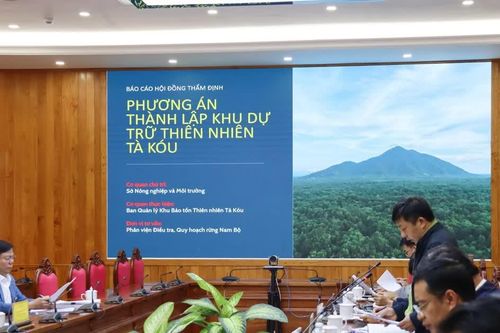 Đề xuất thành lập Khu Dự trữ thiên nhiên Tà Kóu rộng 8.408 ha
