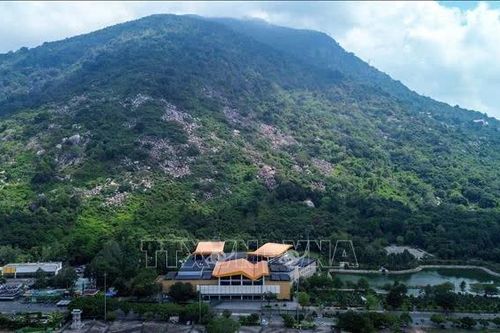 Khuyến cáo không tự tổ chức tour leo núi, khám phá rừng trái phép ở núi Bà Đen
