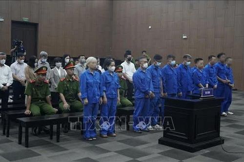 Vụ cựu thứ trưởng Nguyễn Bá Hoan: 'Dây chuyền' móc nối đưa và nhận hối lộ