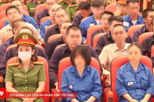 Xét xử chuyên án VN10: Nhiều bị cáo nói giao ma túy giúp con, bạn gái vì tình cảm