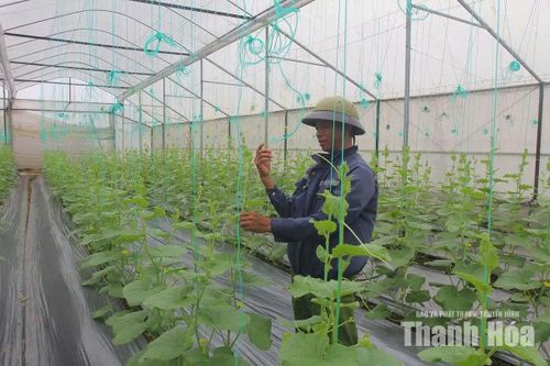 Đồng hành cùng người dân sản xuất sạch, an toàn