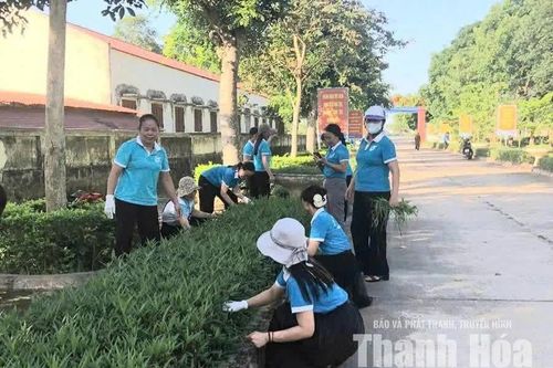 Thắp sáng làng quê, tô xanh cuộc sống