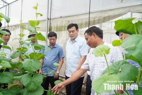 Giám sát tích tụ, tập trung đất đai trong sản xuất nông nghiệp tại xã Thiệu Hóa
