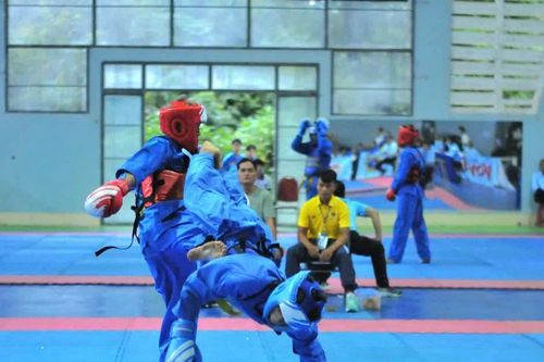 Hơn 270 vận động viên tranh tài tại Giải Vô địch Vovinam miền Trung-Tây Nguyên