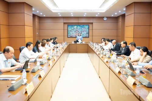 Đại biểu Quốc hội tỉnh Tuyên Quang góp ý nhiều nội dung về ngân sách, chương trình mục tiêu quốc gia, đất đai và nhà ở