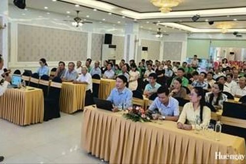 Hướng dẫn đăng ký, quản lý, sử dụng và khai thác hiệu quả nhãn hiệu