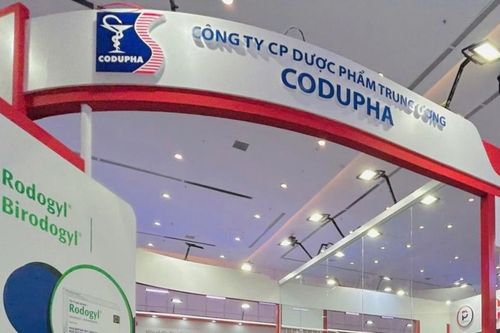 Codupha: Lãi quý II tăng 30%, nợ phải trả vượt 2.300 tỷ đồng, loạt nhân sự cấp cao biến động