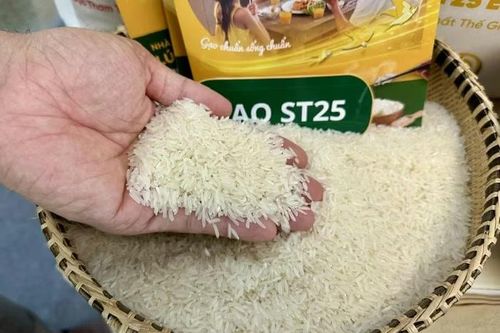Gạo ST25 Việt Nam chính thức lên kệ hệ thống bán buôn tại Đức