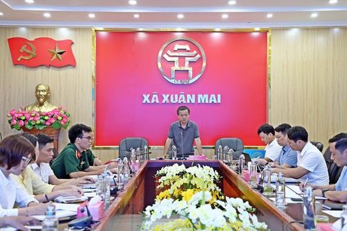 Xuân Mai trồng mới gần 20ha rừng