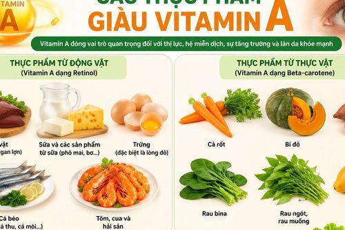 Lợi ích vô giá của vitamin A và cách bổ sung đúng