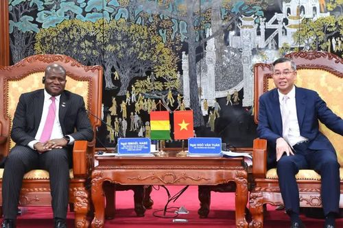 Việt Nam và Ghi-nê mở rộng hợp tác kinh tế, đầu tư