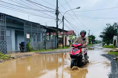Hàng loạt tuyến đường ở Gia Lai xuống cấp, dày đặc 'ổ voi, ổ gà'
