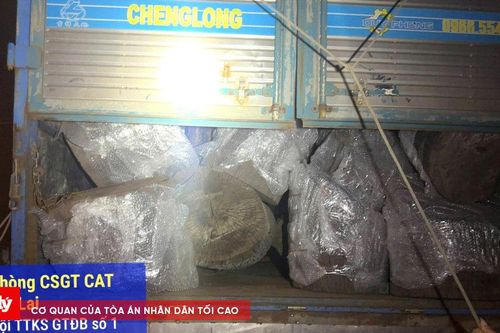 CSGT Gia Lai phát hiện xe chở gỗ không có hóa đơn, nguồn gốc hợp pháp
