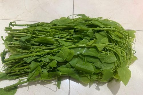 5 loại cây có tên lạ là vị thuốc nhiều tác dụng bất ngờ
